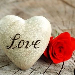 Meet your Posher, Willie